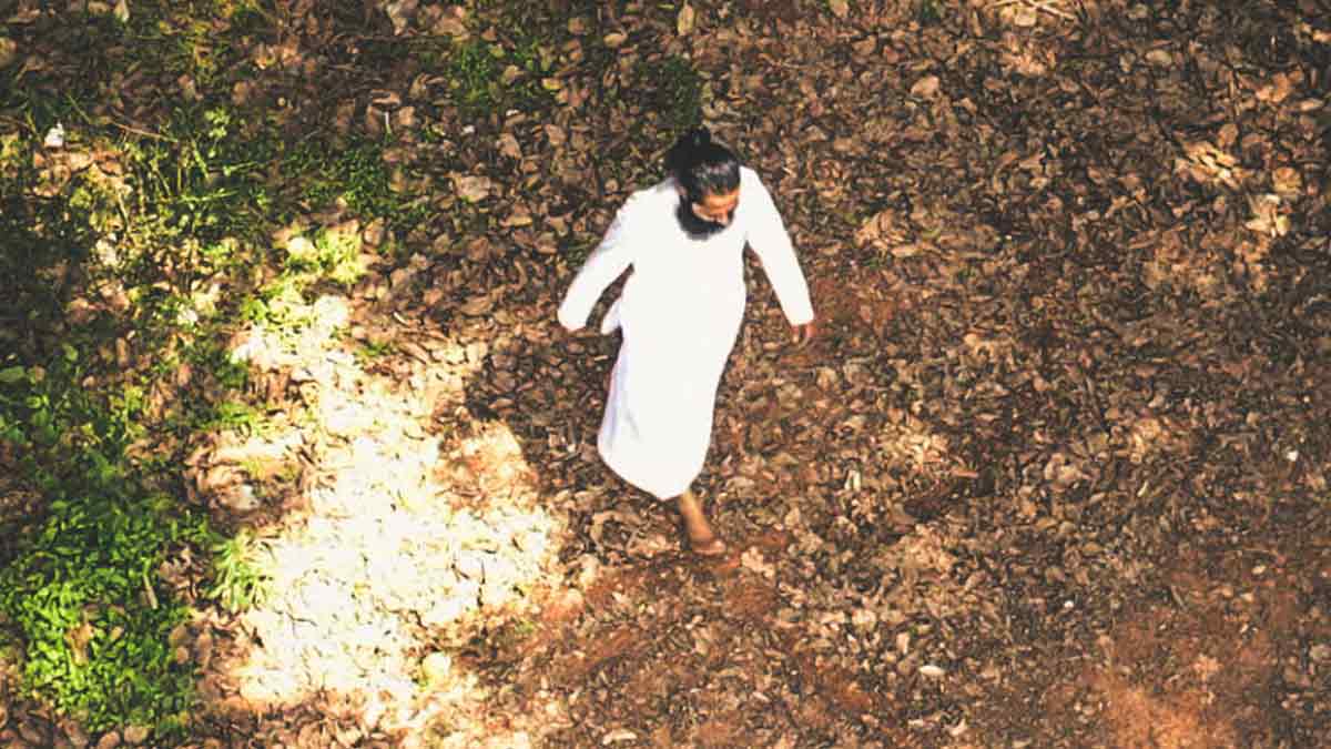 benefits of siddha walk