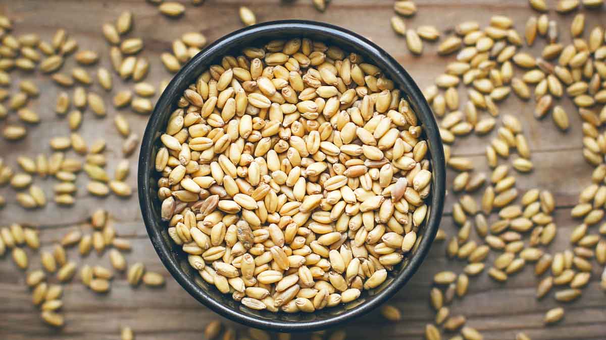 मकर राशि capricorn zodiac remedy