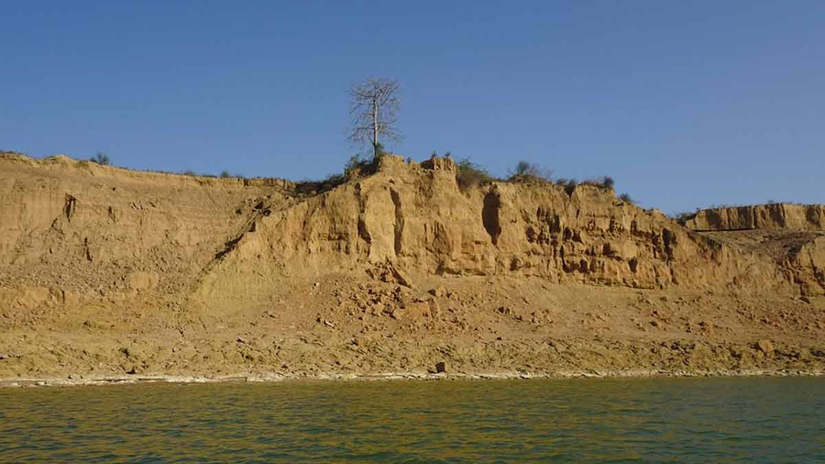 chambal river water facts