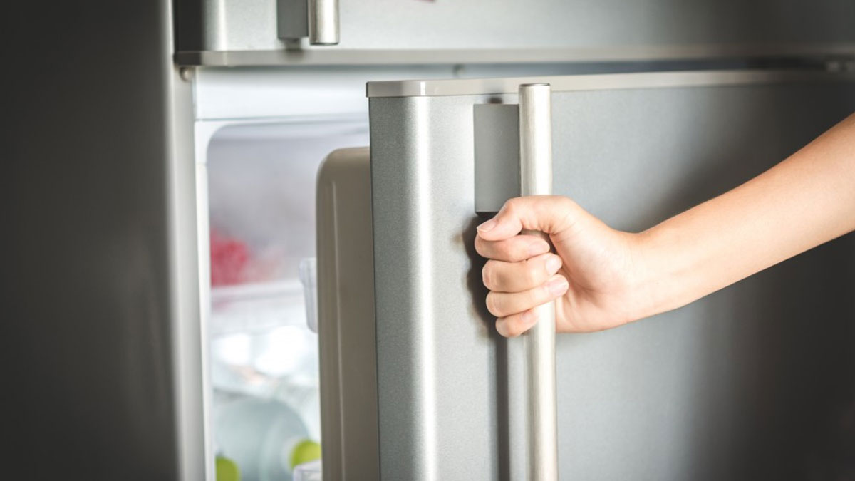 common refrigerator problems in summer inside 