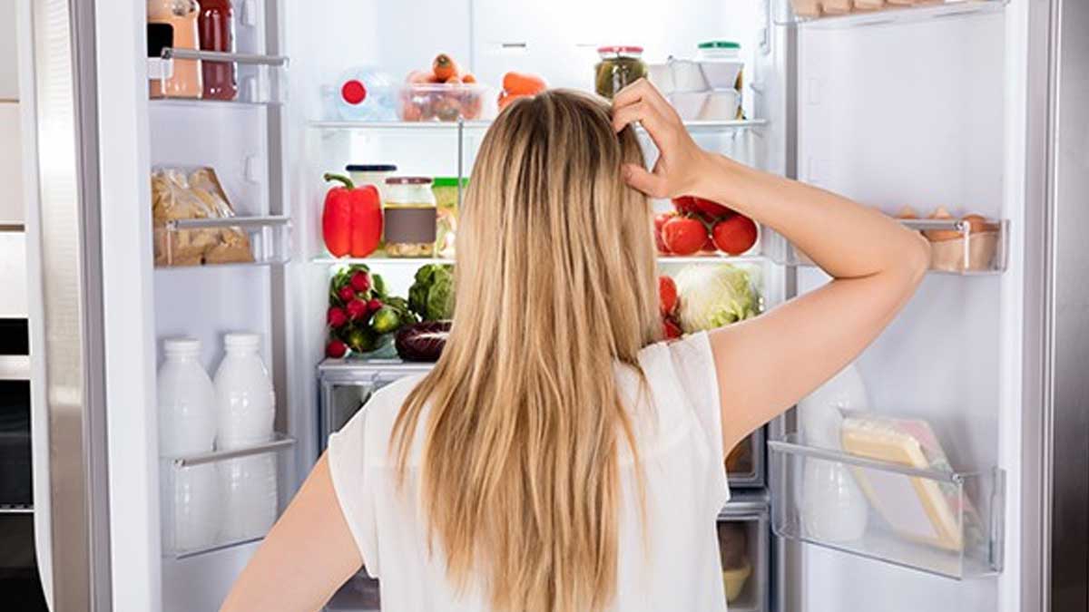 common refrigerator problems in summer isnide 
