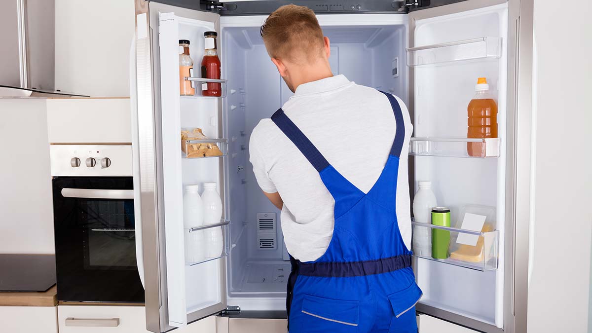 common refrigerator problems in summer tips