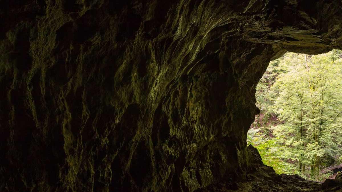 Пещера внутри. Пещера обычная. Пещера крубера крым. Кентская пещера девон. Пещера вуки хоул легенда.