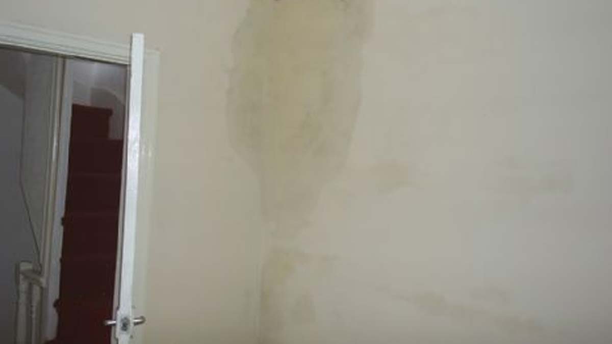 damp wall from home