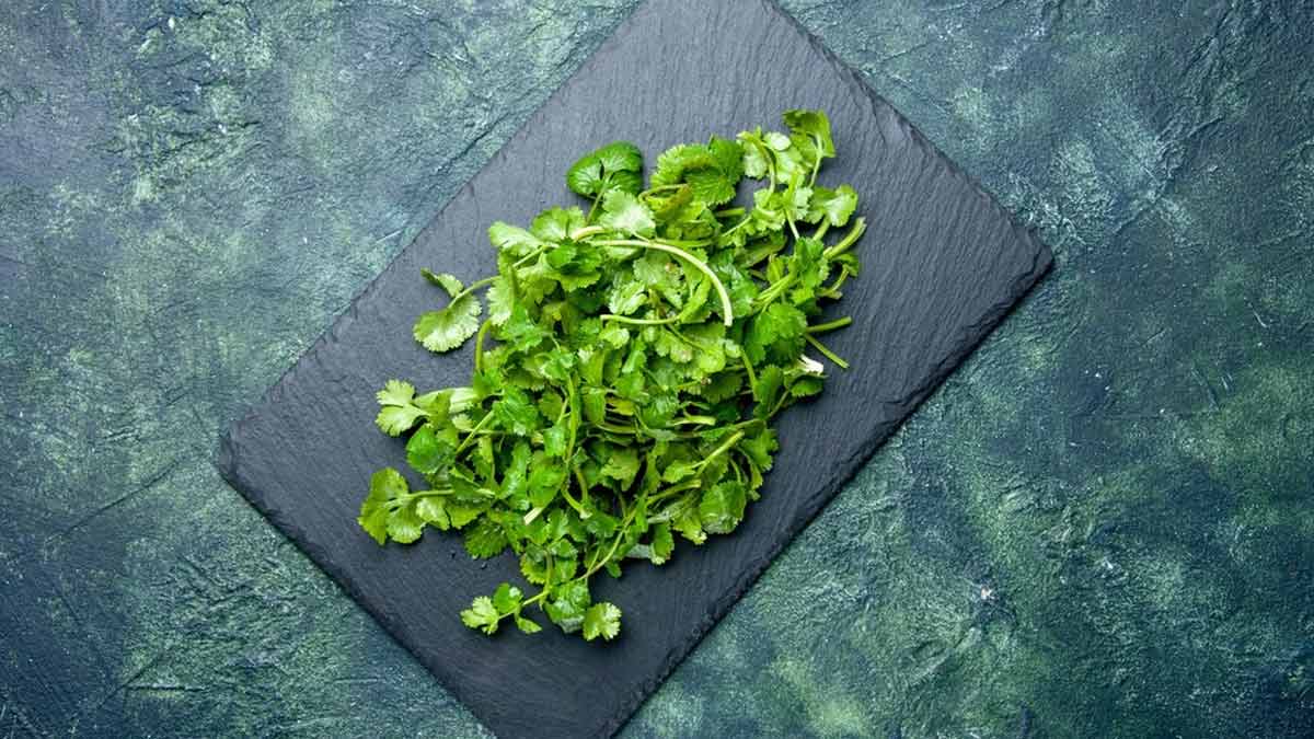 easy tips to wash coriander at home