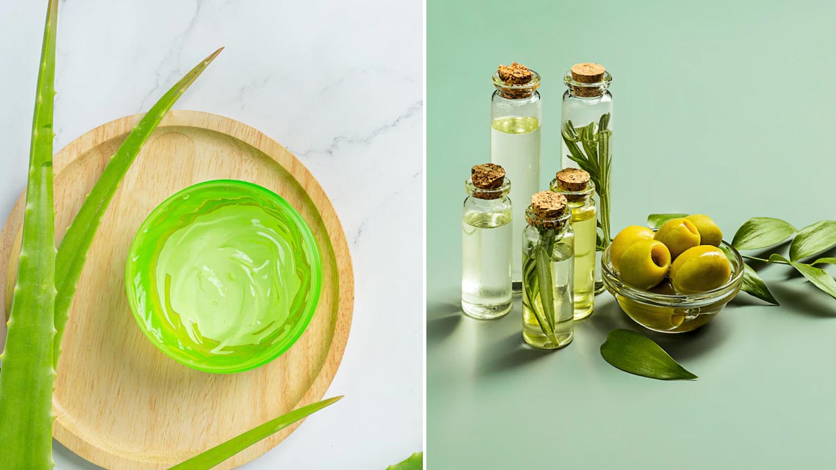 eyebrow healthy hair tips