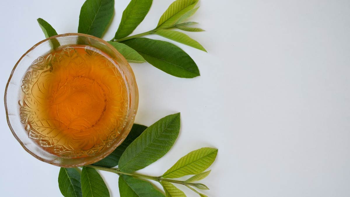 facts about guava leaves kadha ()
