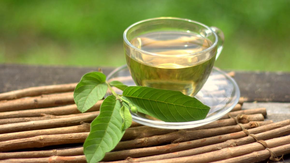 facts about guava leaves kadha ()