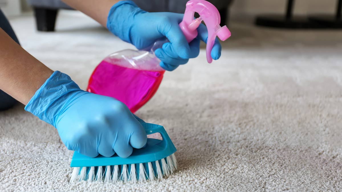 how to clean stain on carpet with baking soda in hindi