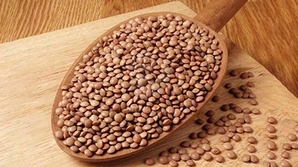 how to purchase good quality masoor dal