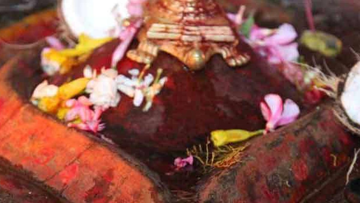 kamakhya devi temple main door opened for devotees