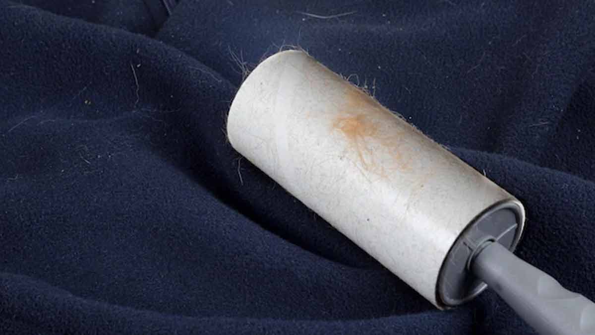 lint roller