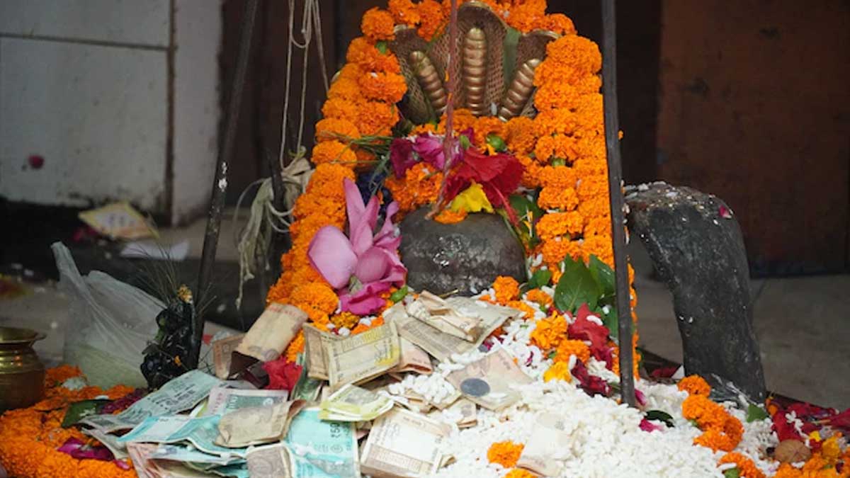 lord shiva offering rice