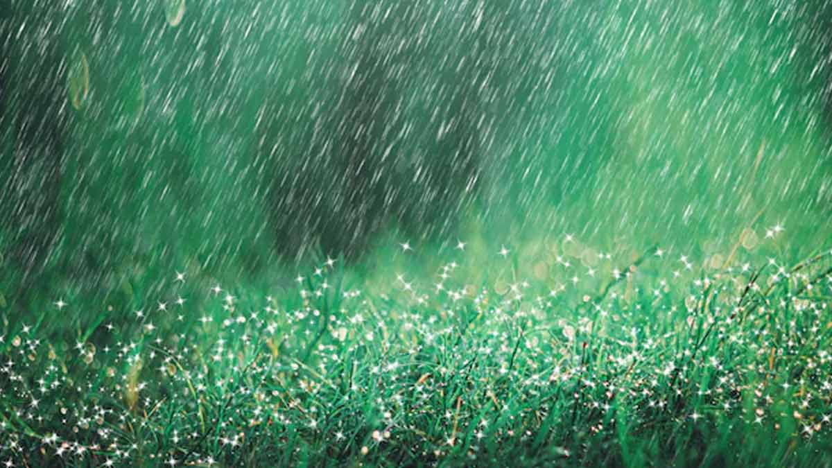 भारत में सबसे ज्यादा बारिश कहां होती है? monsoon facts