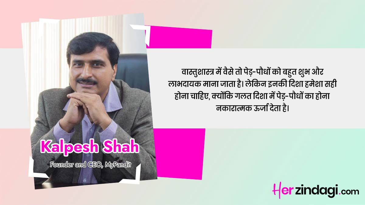 never plant these plants at home