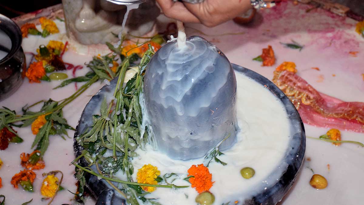offering milk to lord shiva by expert