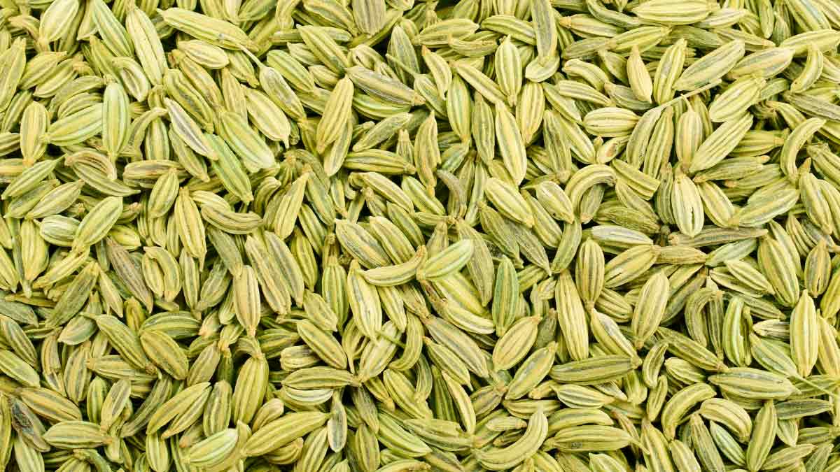 sauf for weight loss