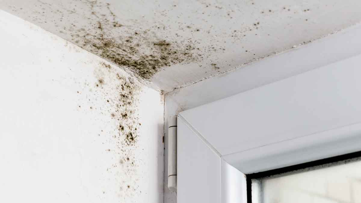 tips to detect moisture in your home
