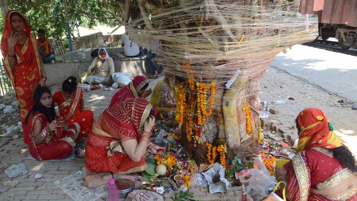 tree hindi