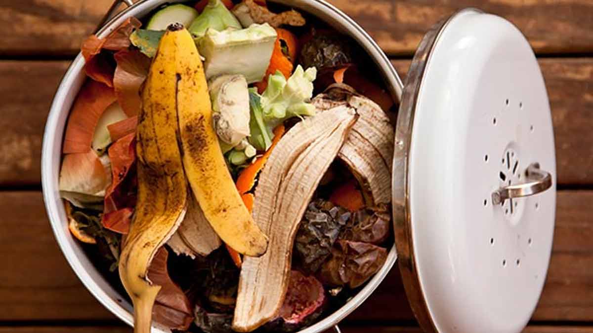 नहाने में इस्तेमाल करें uses of vegetable for chips peels for shower inside