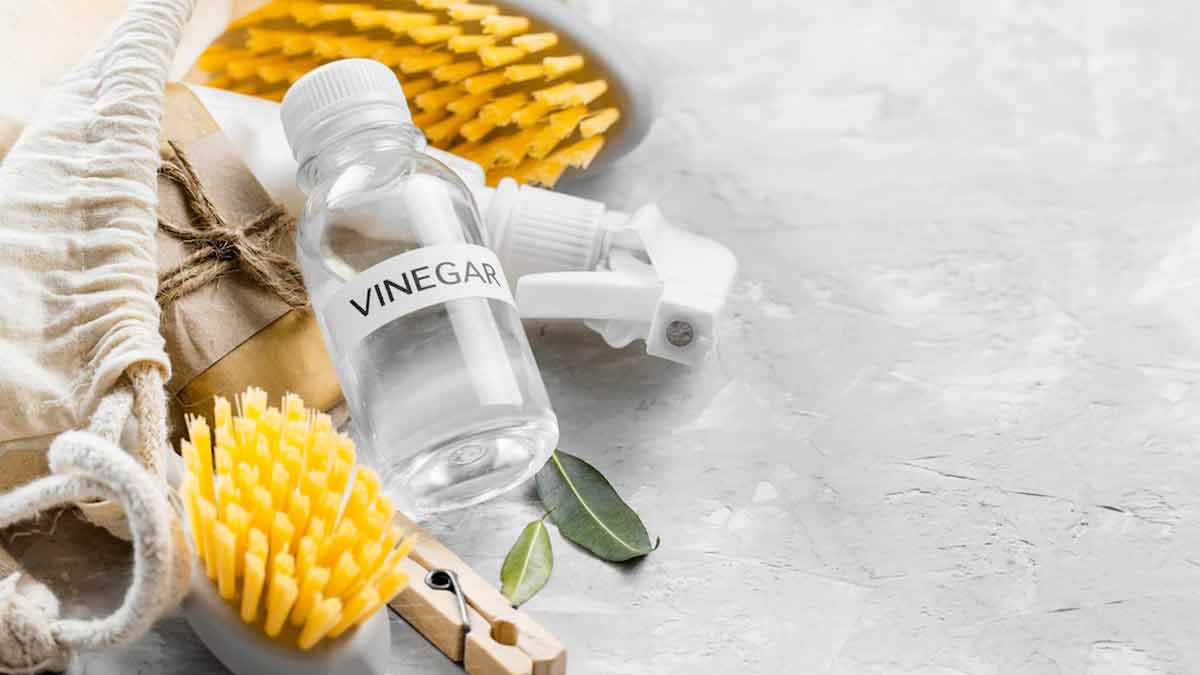 vinegar for cleaning pet hair