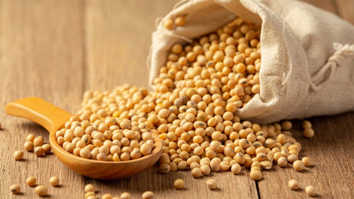 weight loss in thyroid soya