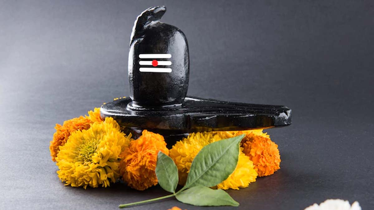 why should offer rice to lord shiva