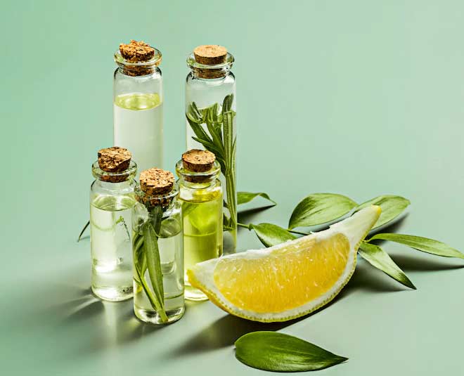 Body Temperature expert tips