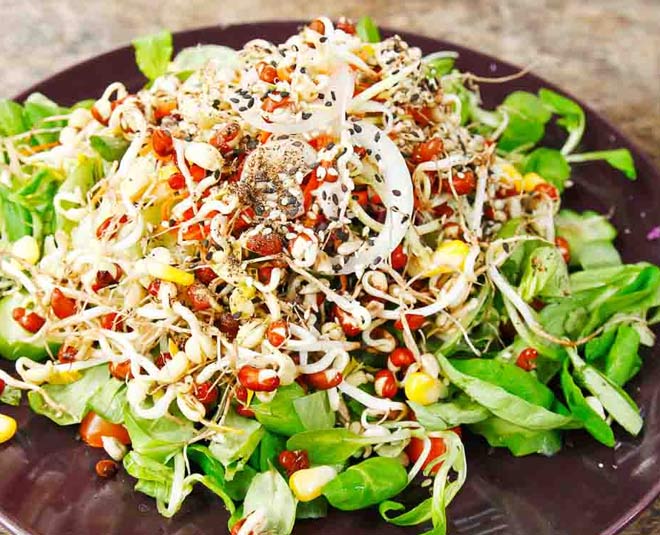 alfalfa sprouts salad main