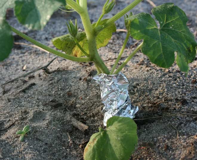 aluminium foil reuse