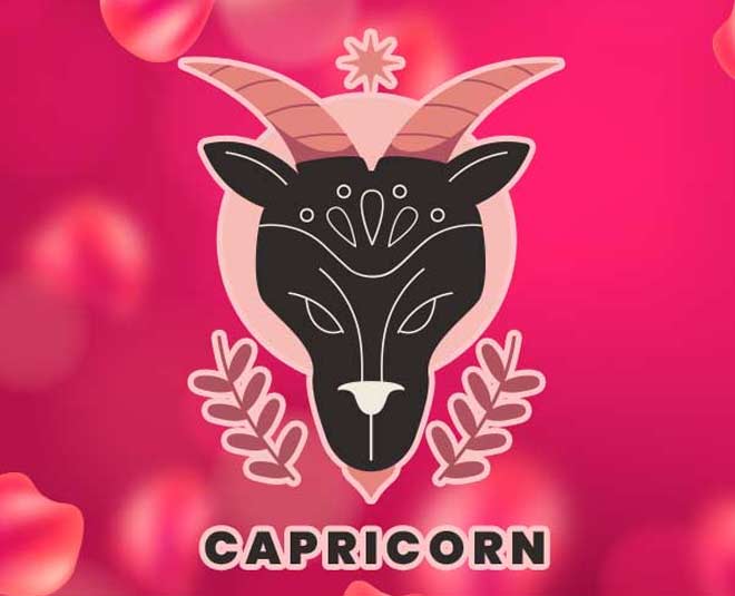 capricorn zodiac sign by jeevika
