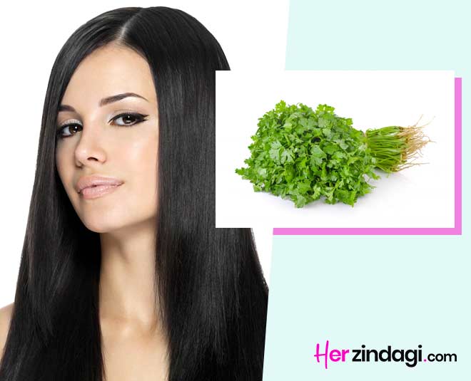 Coriander And Honey Hair Pack For Strong Hair In Hindi coriander and
