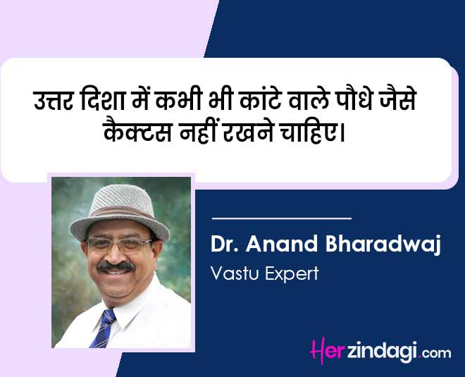 dr.anand