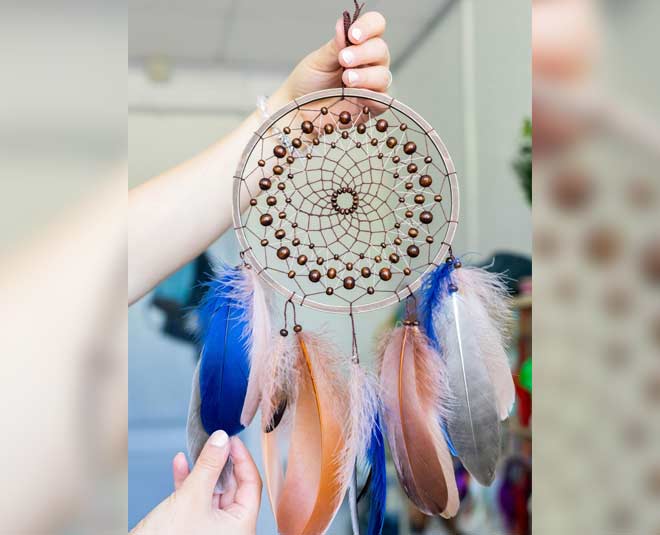 feathers in north facing home