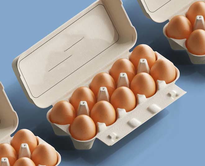 food packaging egg
