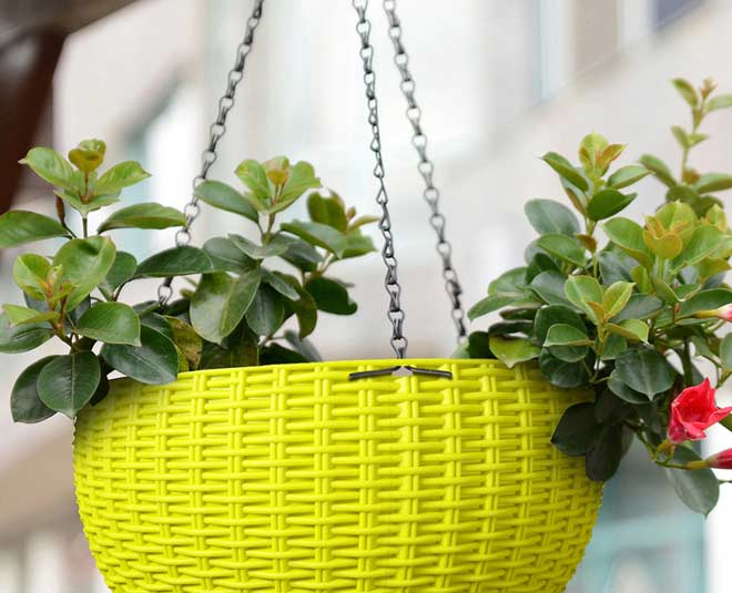 हैंगिंग पॉट्स- hanging pots for gardening