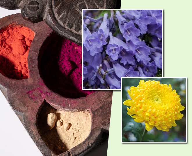 how to make holi colours with flowers