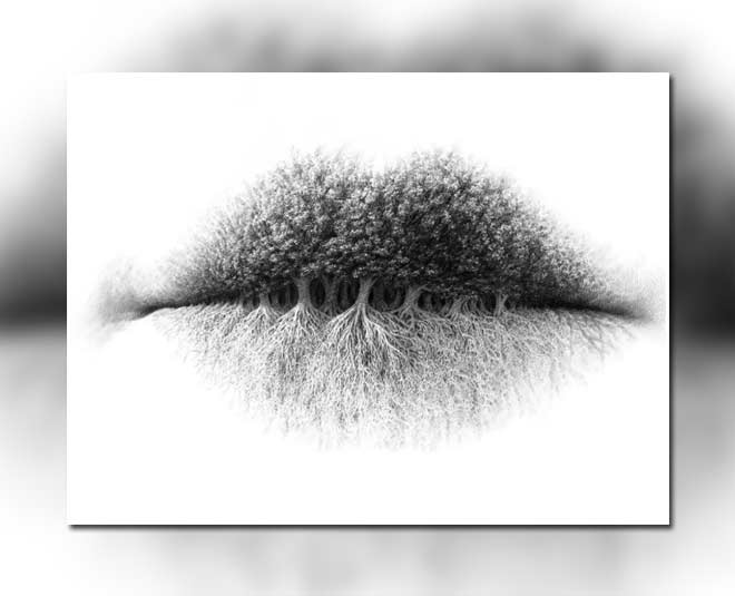 optical illussion tree