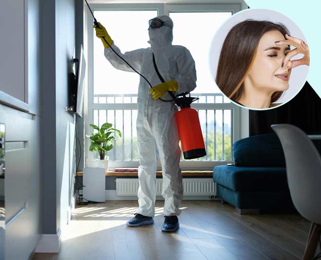 How To Get Rid Of Smell After Pest Control In Hindi pest control ki