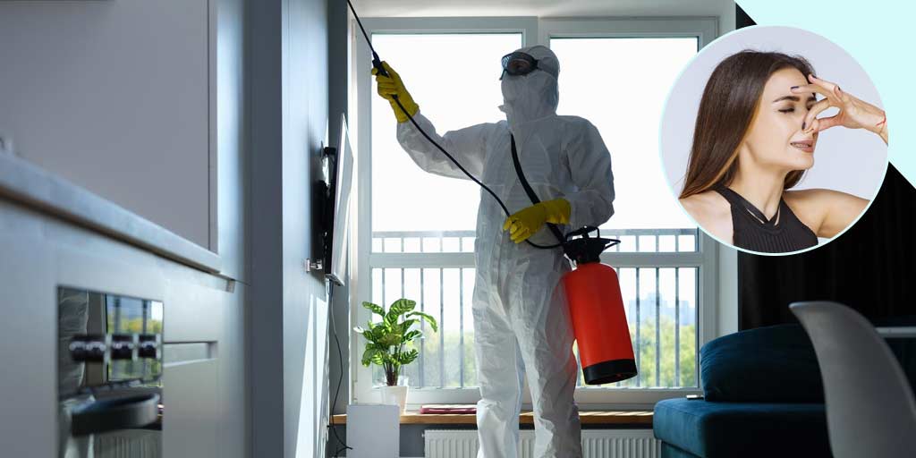 How To Get Rid Of Smell After Pest Control In Hindi pest control ki