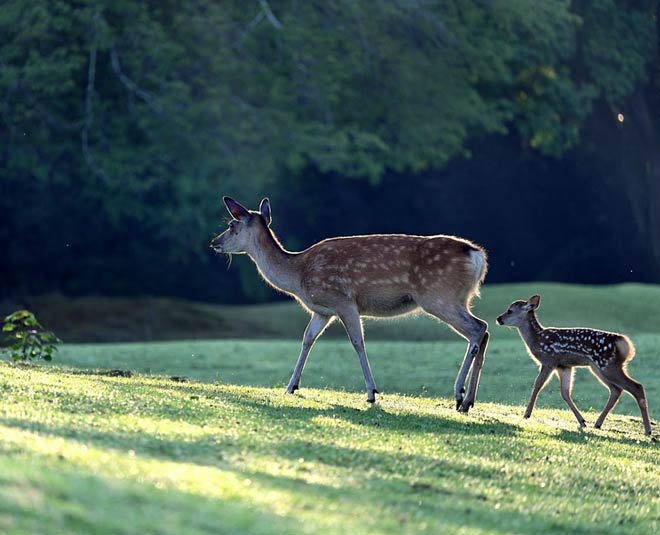 places to visit in nalagarh himachal pradesh Inside 