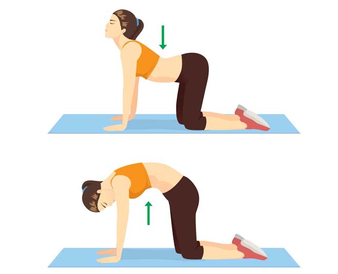 stretching for cat and cow pose