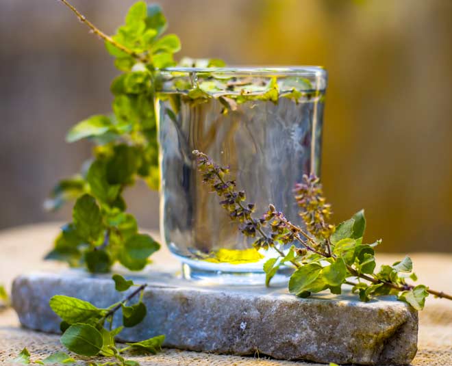 tulsi mala  benefits  astrology