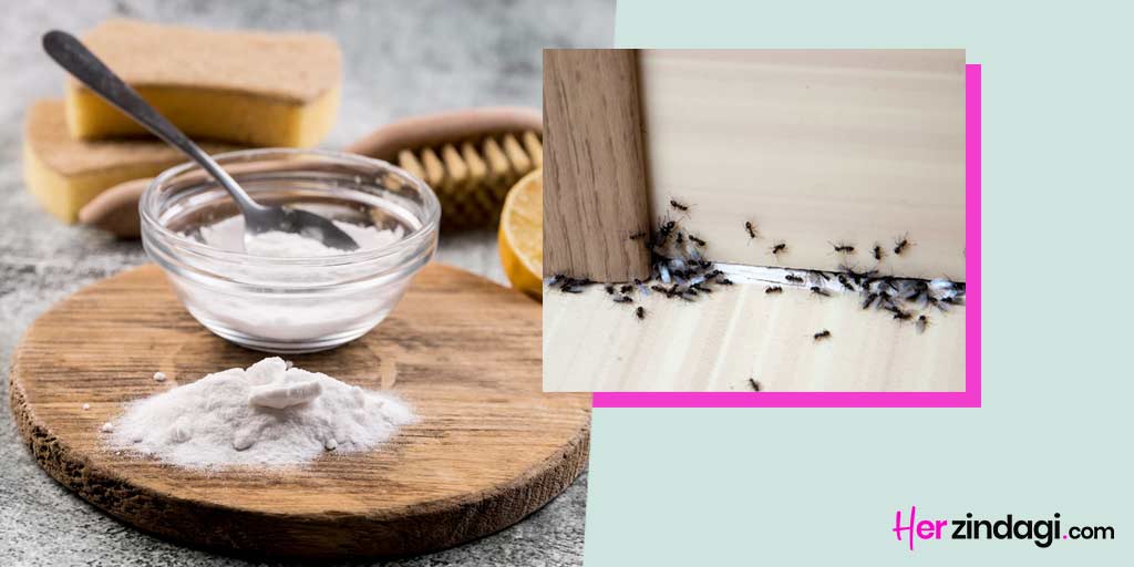 How To Use Baking Soda For Kitchen Insects In Hindiकिचन में लगते हैं