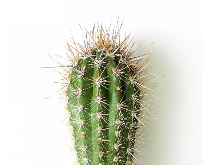 vastu tips North Direction