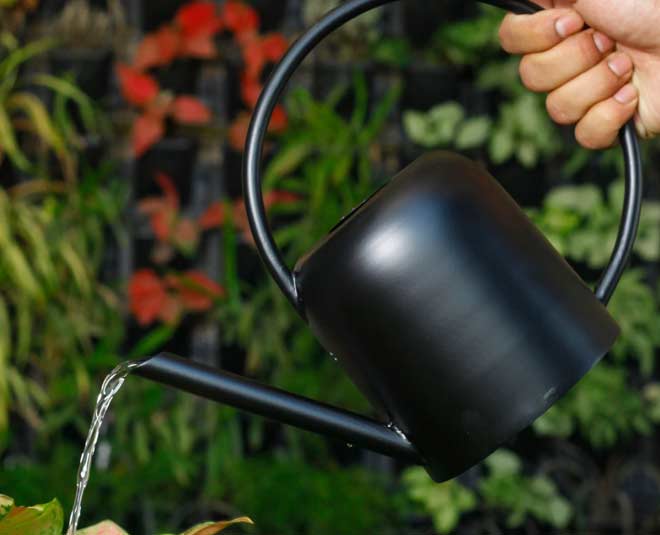 वाटरिंग कैन- watering cans for gardening