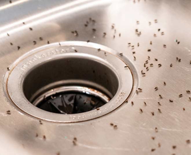 ways to use lemon in kitchen inside 