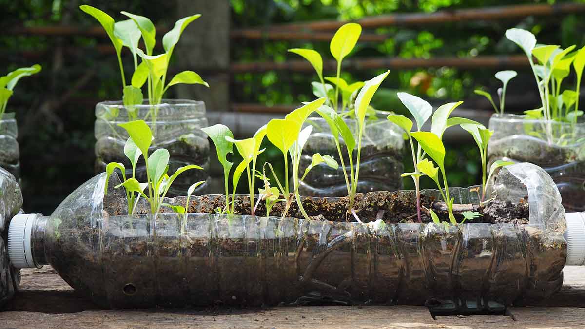 Ideas To Create An Eco Friendly Garden