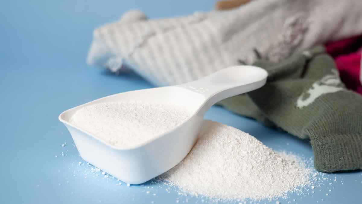 Powder fabric softener