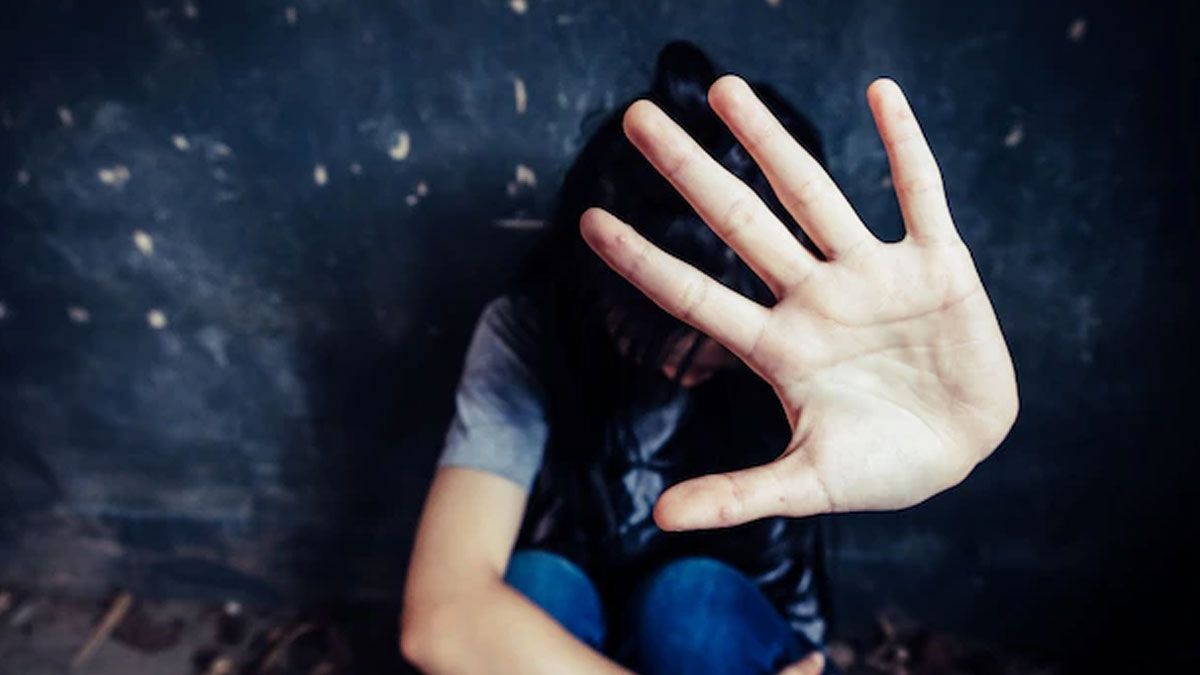 What is Domestic Violence in hindi